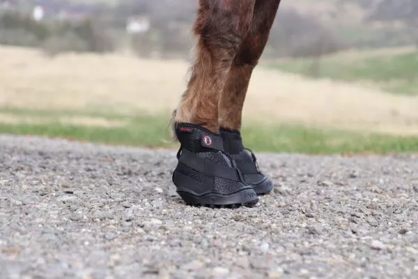Equine Fusion Recovery Shoe